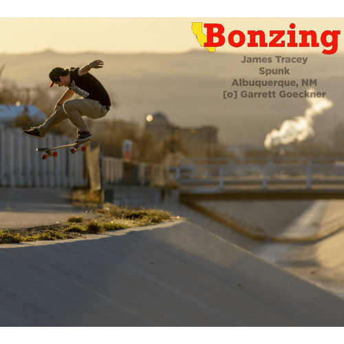 ボンジングスケートボード デッキ　ダカイン 33 /Bonzing ボンジングスケートボード デッキ ダカイン 33 /Bonzing