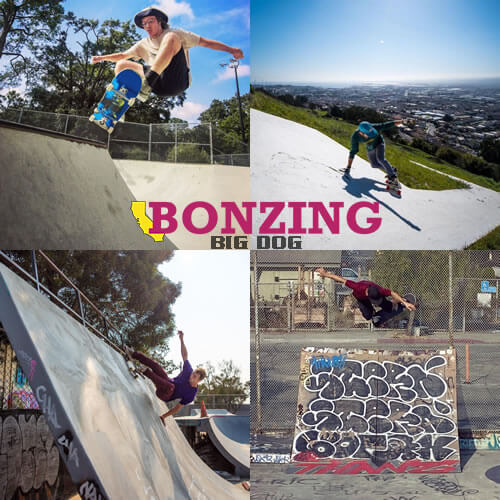 ボンジングスケートボード ビッグドッグ ブルー 9.1'' / Bonzing