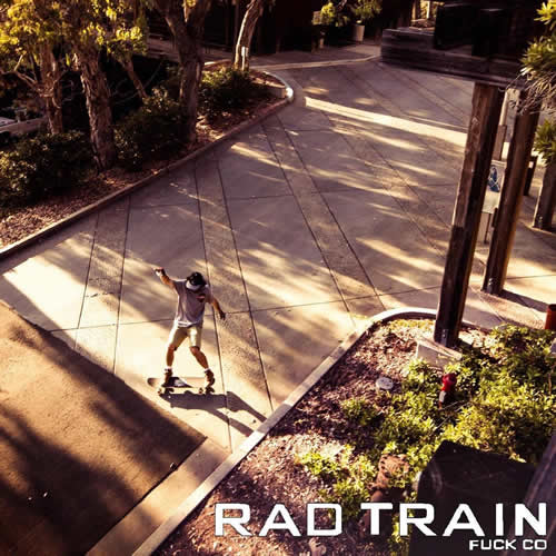 セクターナインスケートボード ジミーライア プロモデル ダイバー