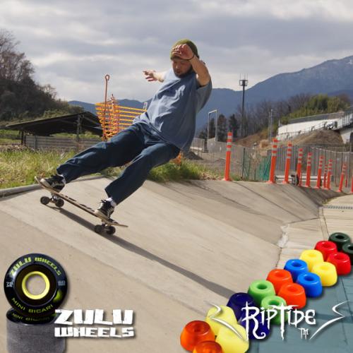 リップタイドブッシュ APS チャビー / RipTide Bushings APS