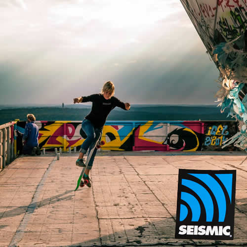 サイズミック テクトンベアリング 7ボールクラシック / Seismic Tekton