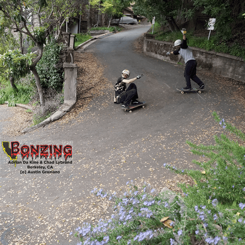 ボンジングスケートボード デッキ　ダカイン 33 /Bonzing ボンジング ダカイン パンプ&スライド スケートボード / Dakine